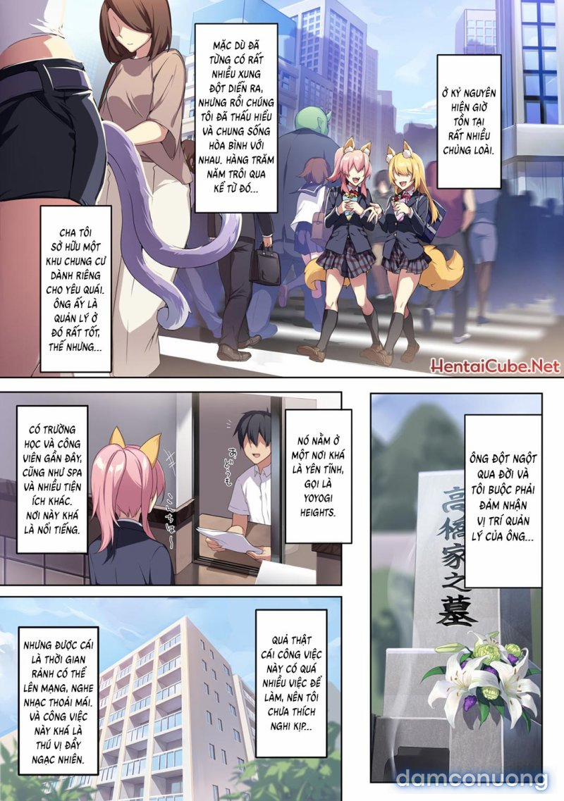 Góa phụ không giỏi giao tiếp và chiếc nhẫn bị nguyền rủa 1 trang 3