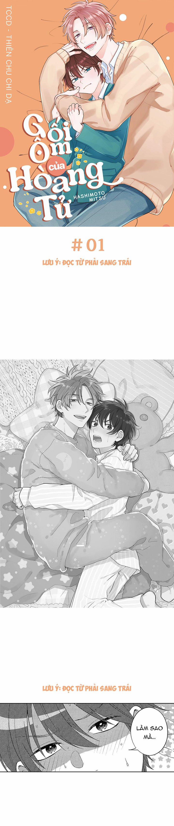 Gối Ôm Của Hoàng Tử 1 trang 2