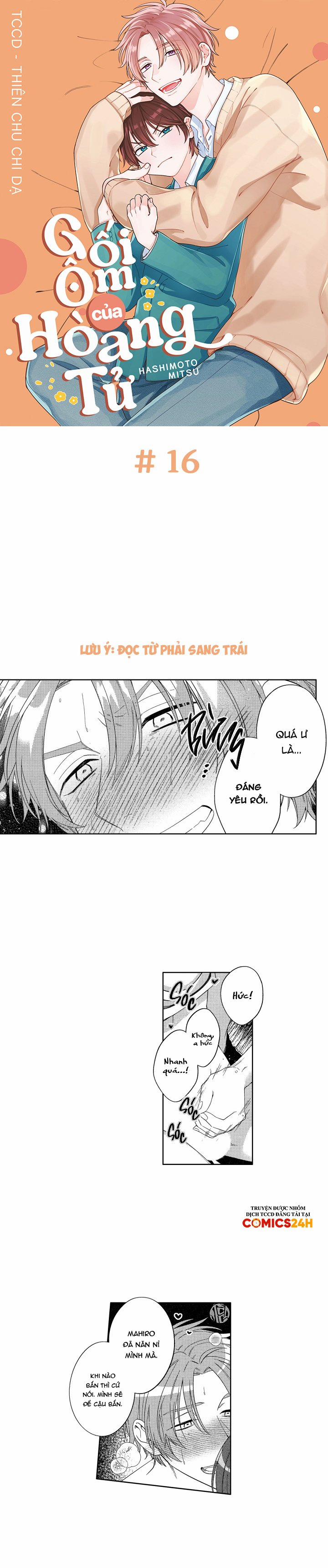 Gối Ôm Của Hoàng Tử 16 trang 2