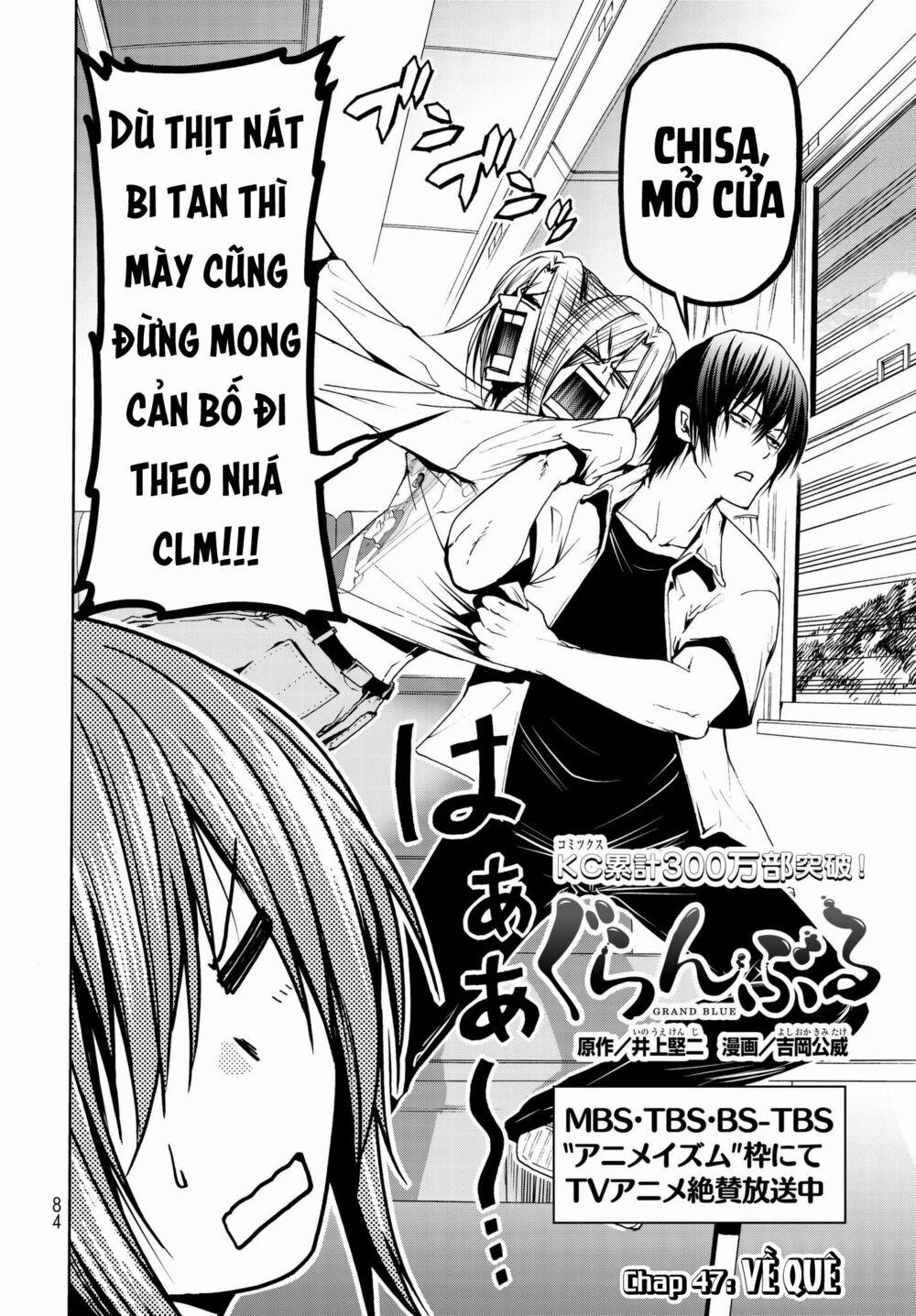 Grand Blue – Cô Gái Thích Lặn 47 trang 2