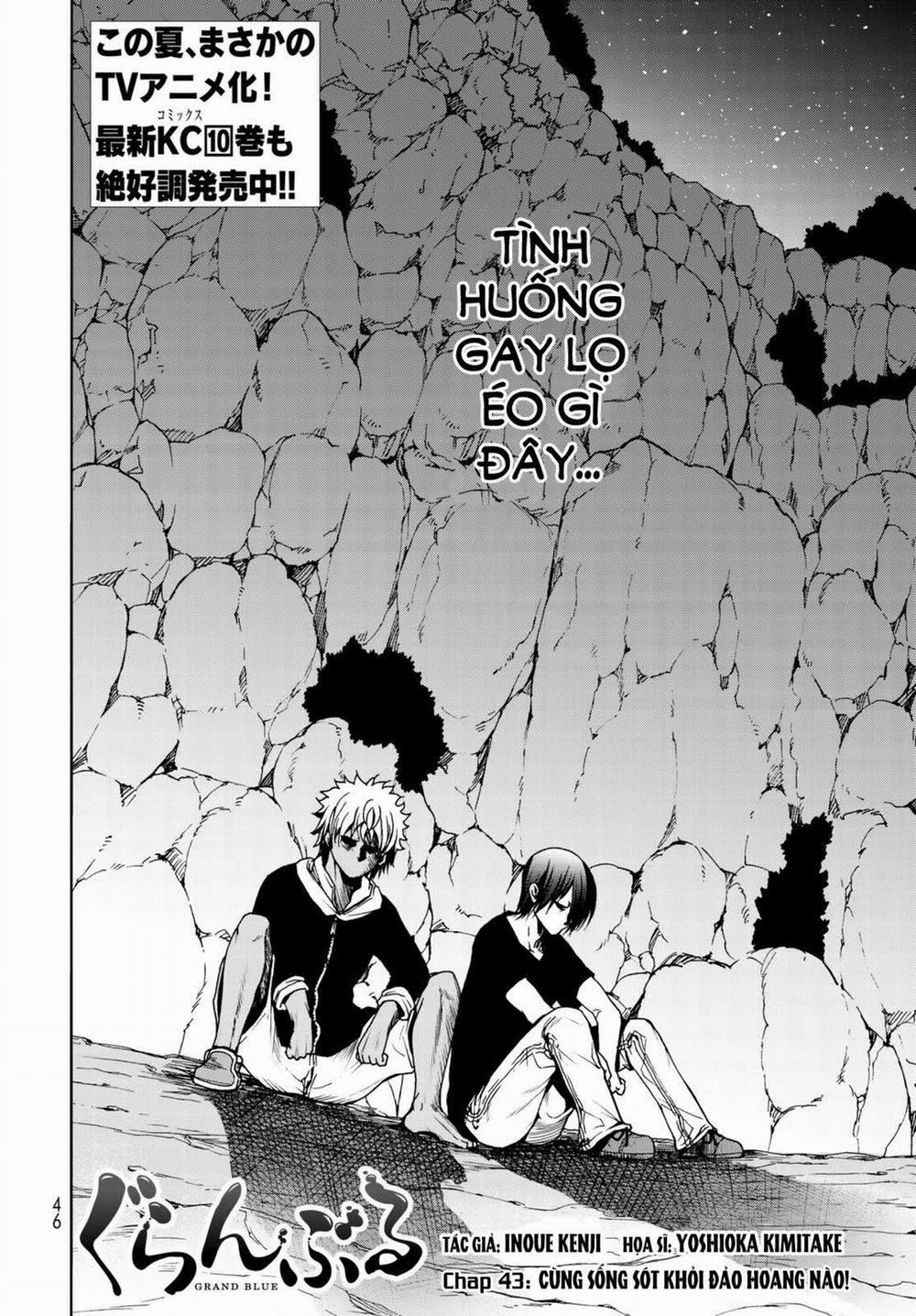 Grand Blue 43 trang 3