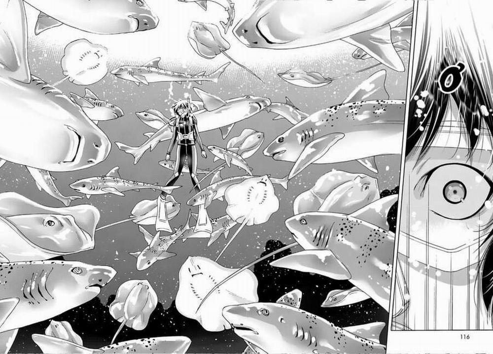 Grand Blue 81 trang 24