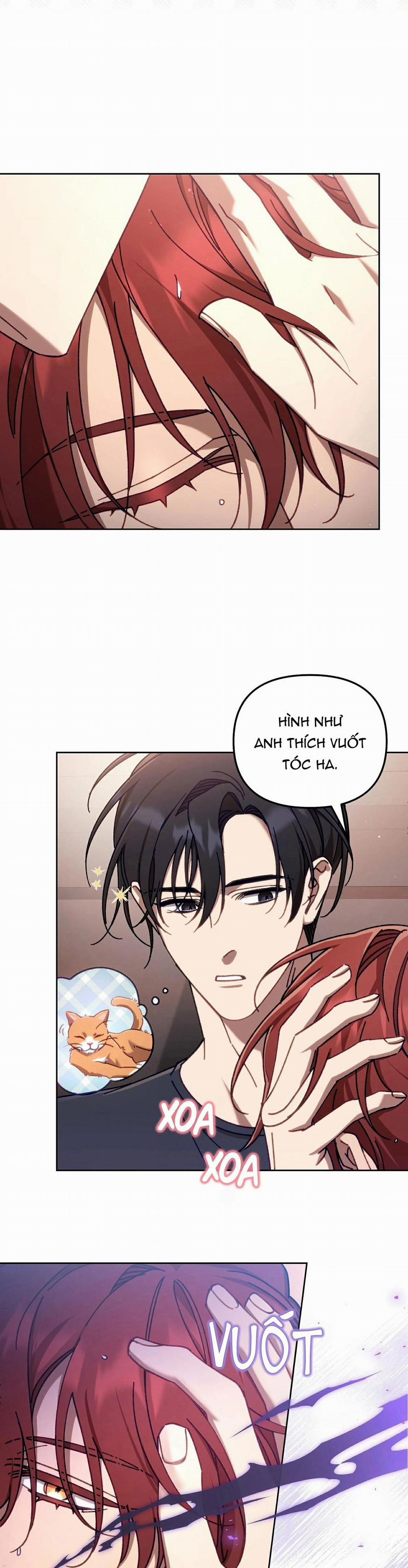 Guide Cấp S Phết Mật Ong 12 trang 10