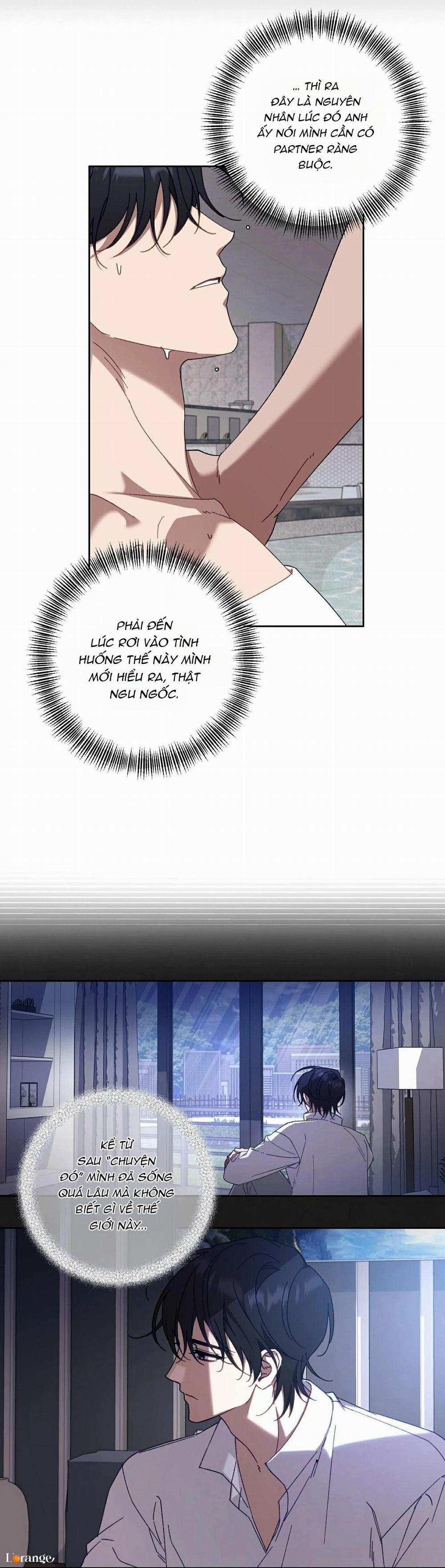 Guide Cấp S Phết Mật Ong 14 trang 4