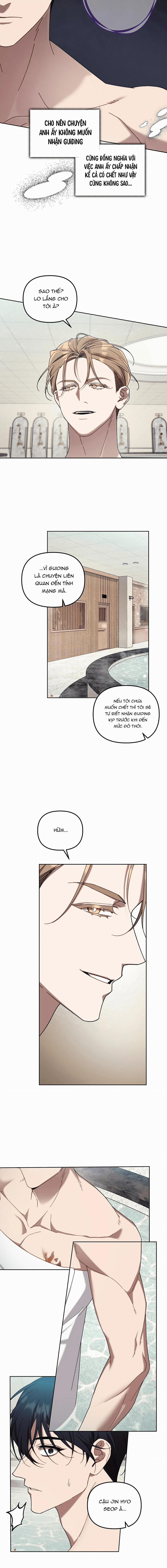 Guide Cấp S Phết Mật Ong 15 trang 8