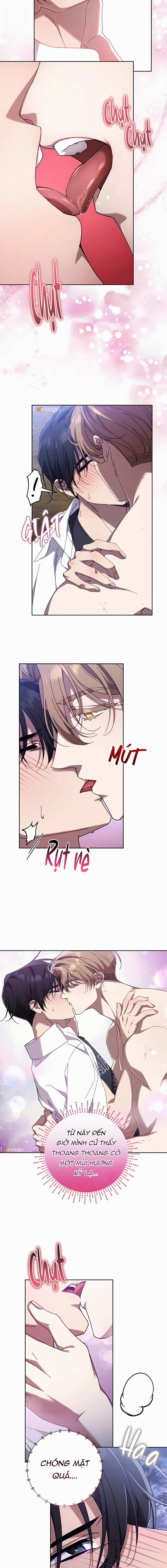 Guide Cấp S Phết Mật Ong 18 trang 7