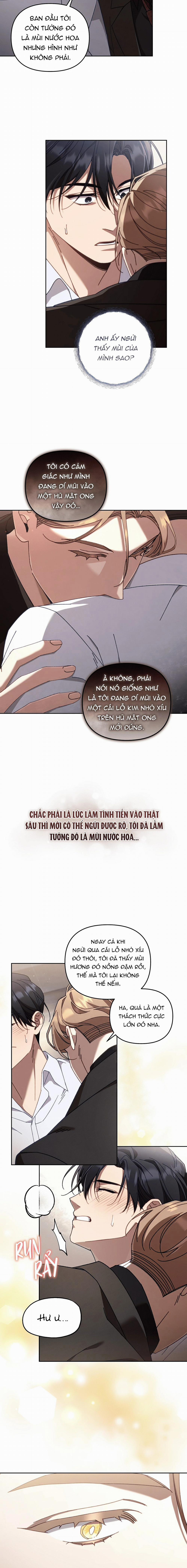 Guide Cấp S Phết Mật Ong 24 trang 11