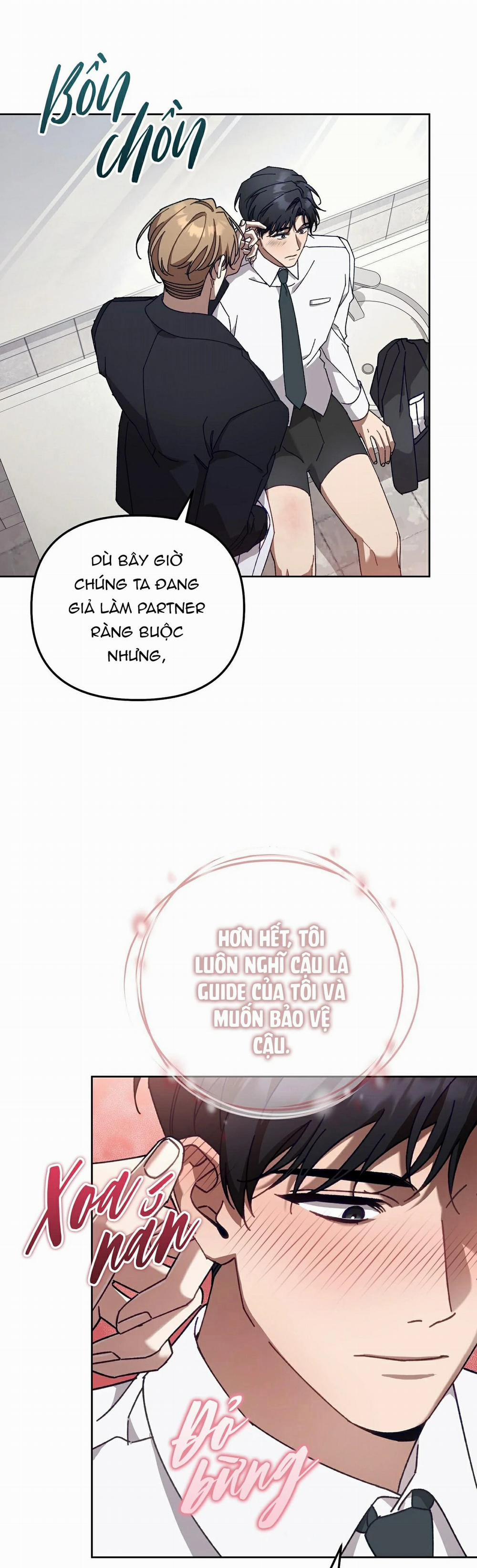 Guide Cấp S Phết Mật Ong 32 trang 22