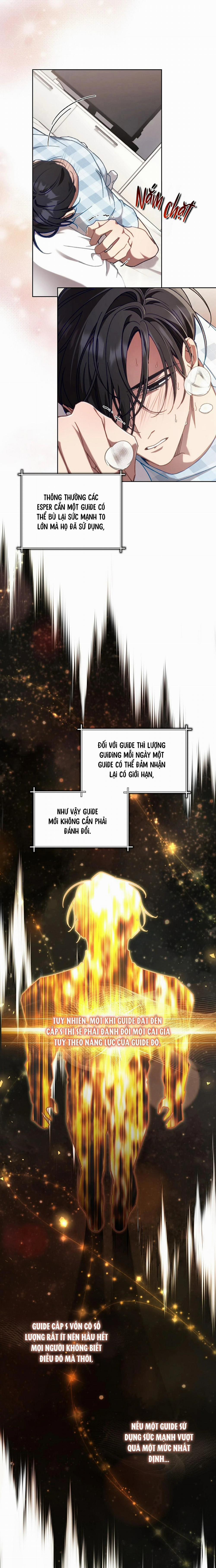 Guide Cấp S Phết Mật Ong 8 trang 5