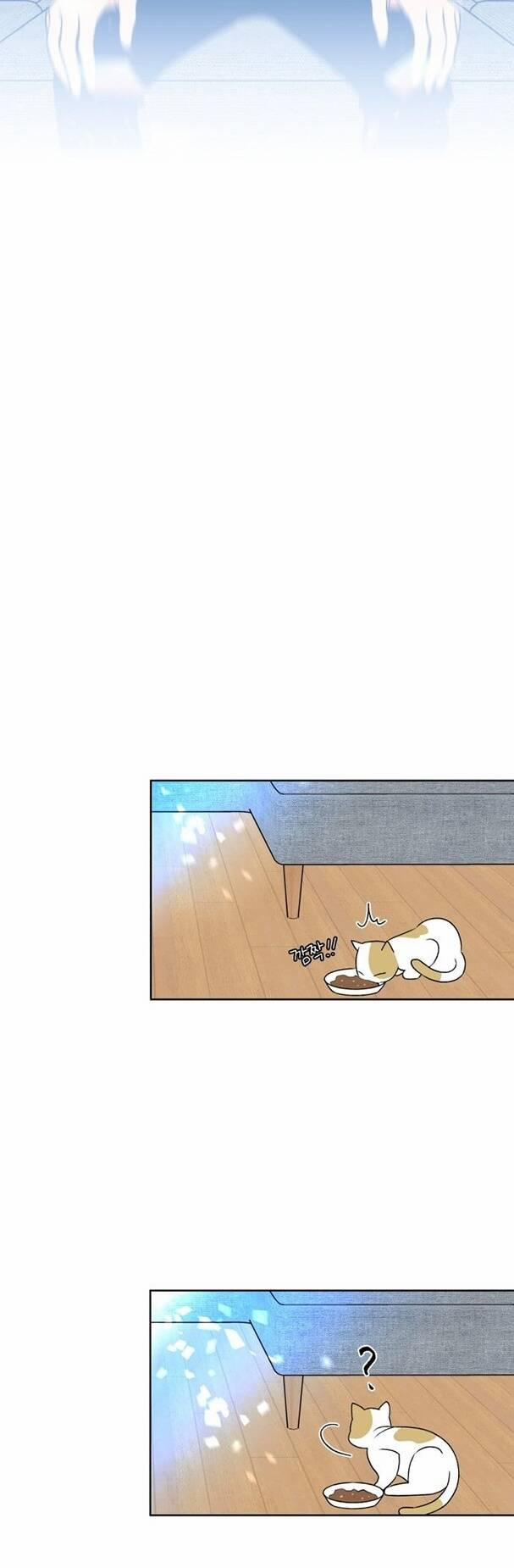 Gương Mặt Thiên Tài 1.2 trang 41