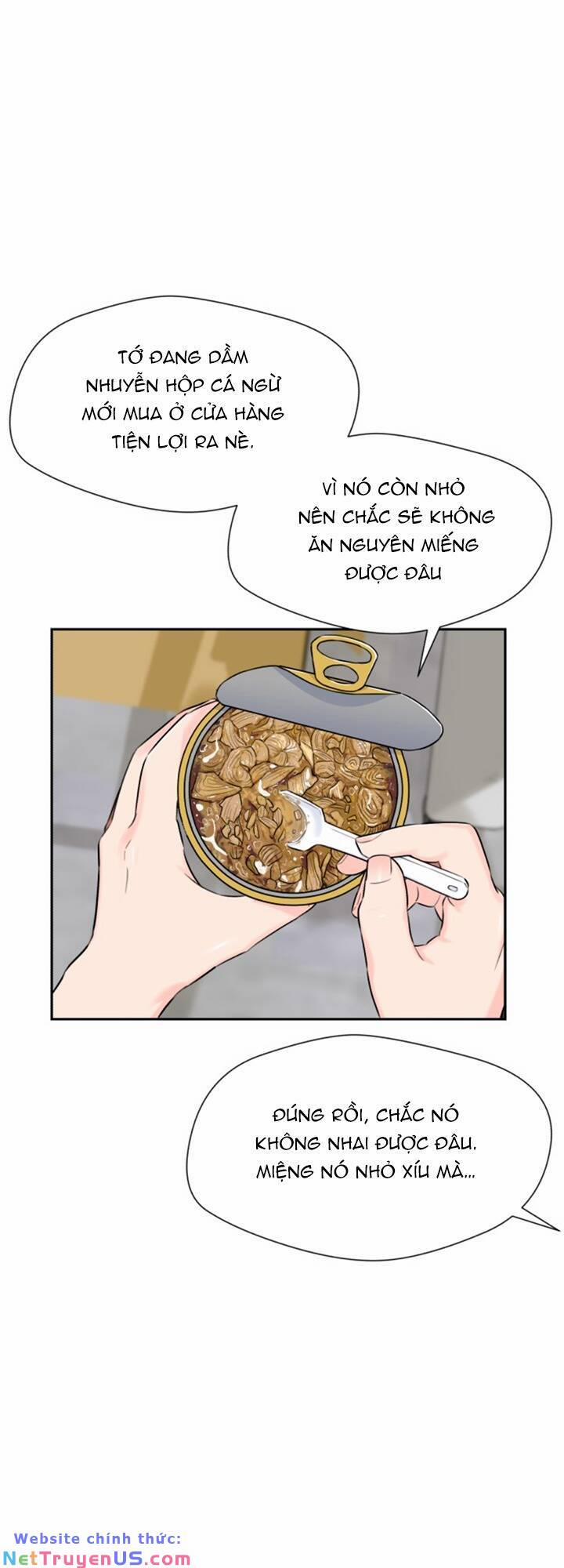 Gương Mặt Thiên Tài 65 trang 17