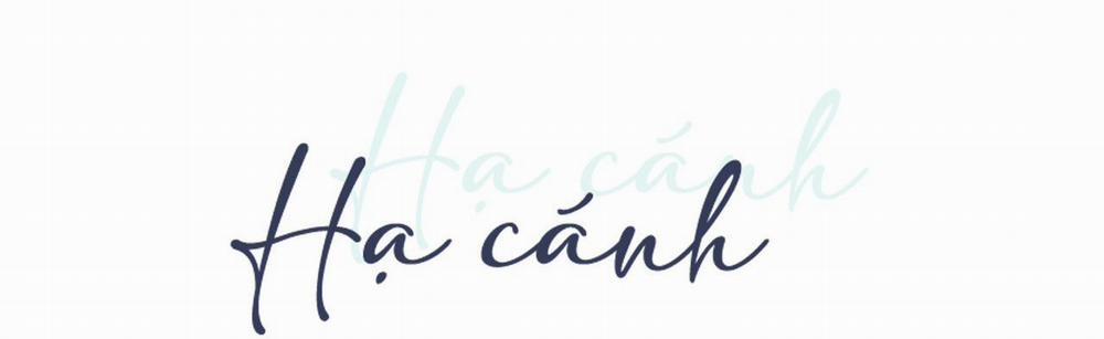 Hạ Cánh Cuối Chân Trời 14 trang 11