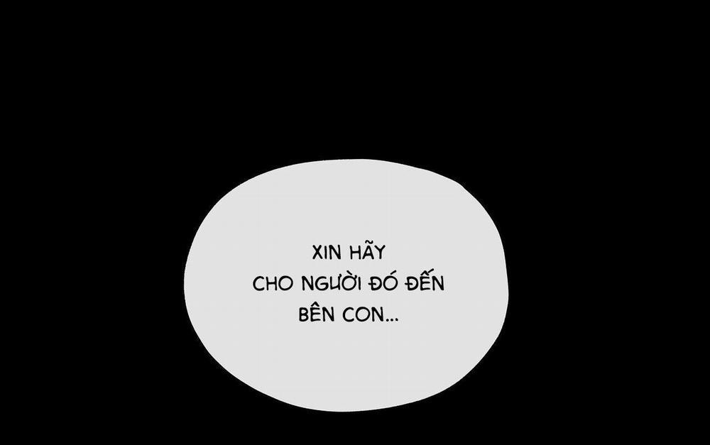 Hạ Cánh Cuối Chân Trời 14 trang 3