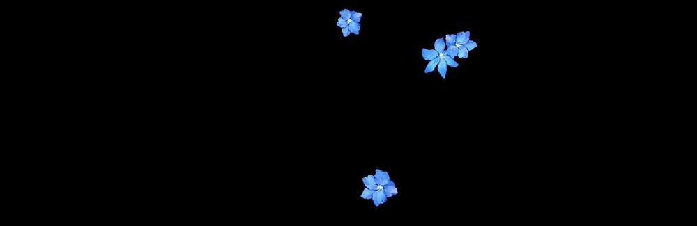 Hạ Cánh Cuối Chân Trời 16 trang 4