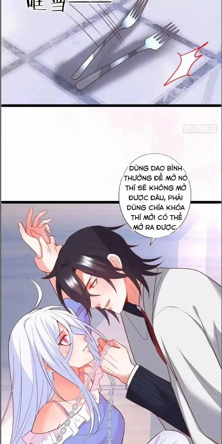 Hắc Đạo Đáng Yêu 209 trang 18