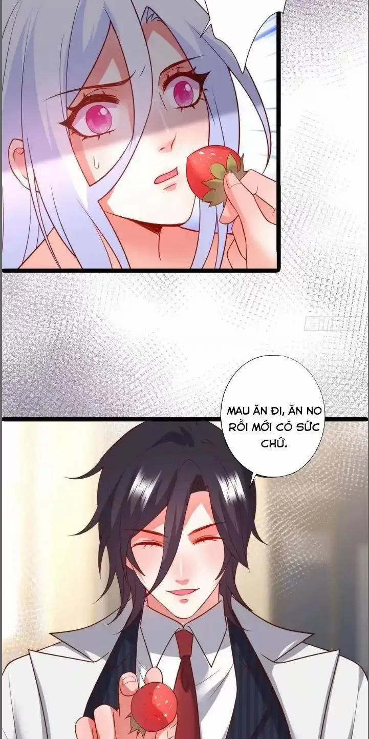 Hắc Đạo Đáng Yêu 209 trang 21