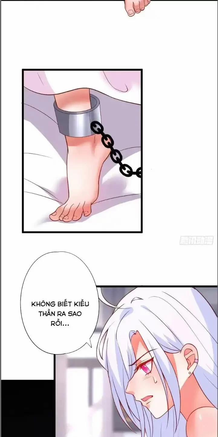 Hắc Đạo Đáng Yêu 209 trang 3