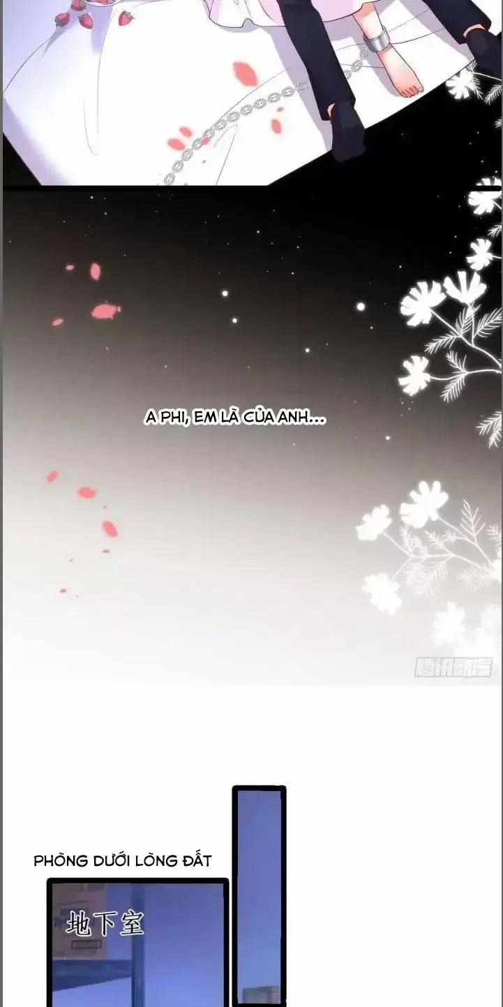 Hắc Đạo Đáng Yêu 209 trang 30