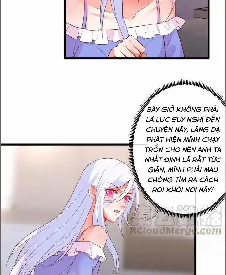 Hắc Đạo Đáng Yêu 209 trang 7