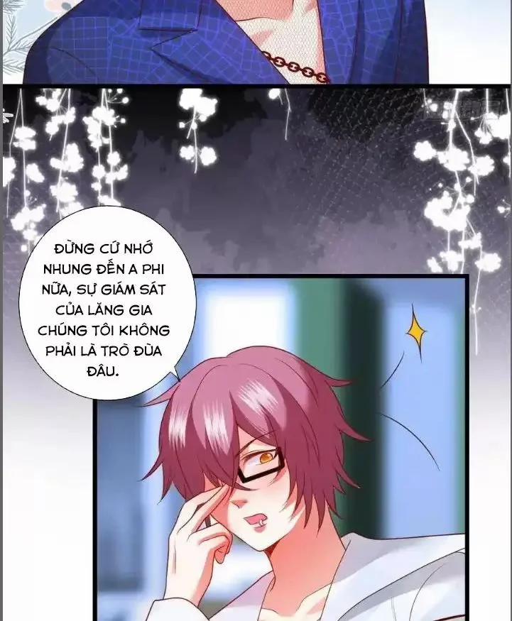 Hắc Đạo Đáng Yêu 213 trang 11