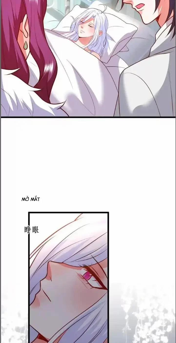 Hắc Đạo Đáng Yêu 213 trang 33