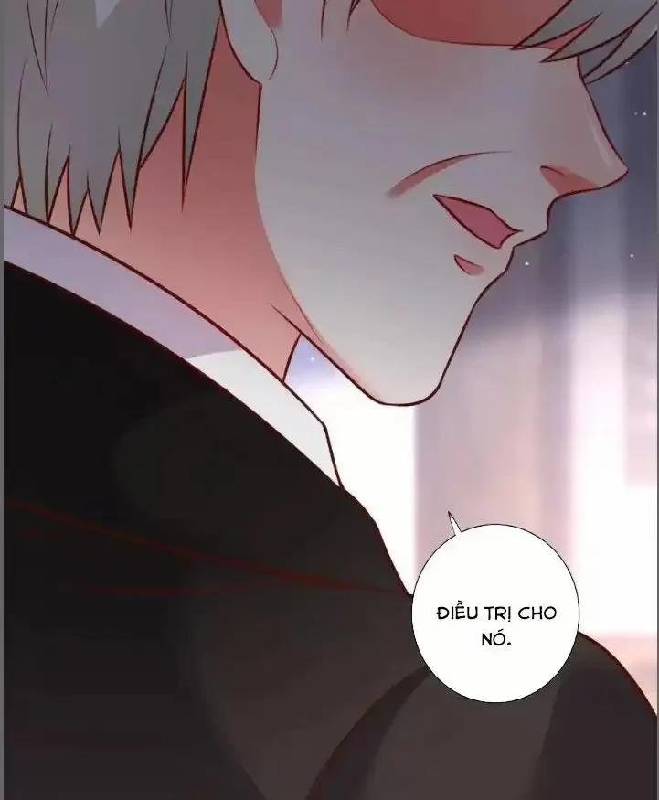 Hắc Đạo Đáng Yêu 213 trang 4