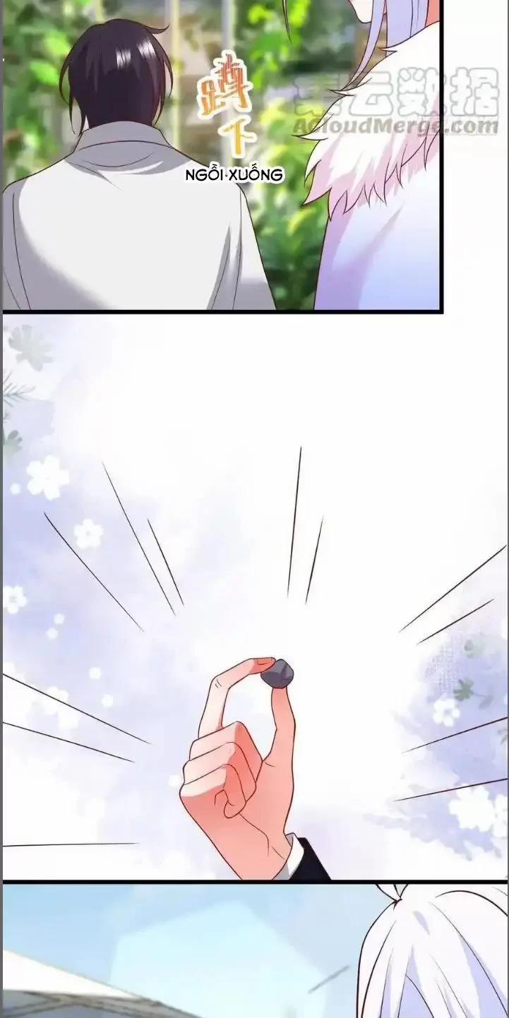 Hắc Đạo Đáng Yêu 214 trang 33