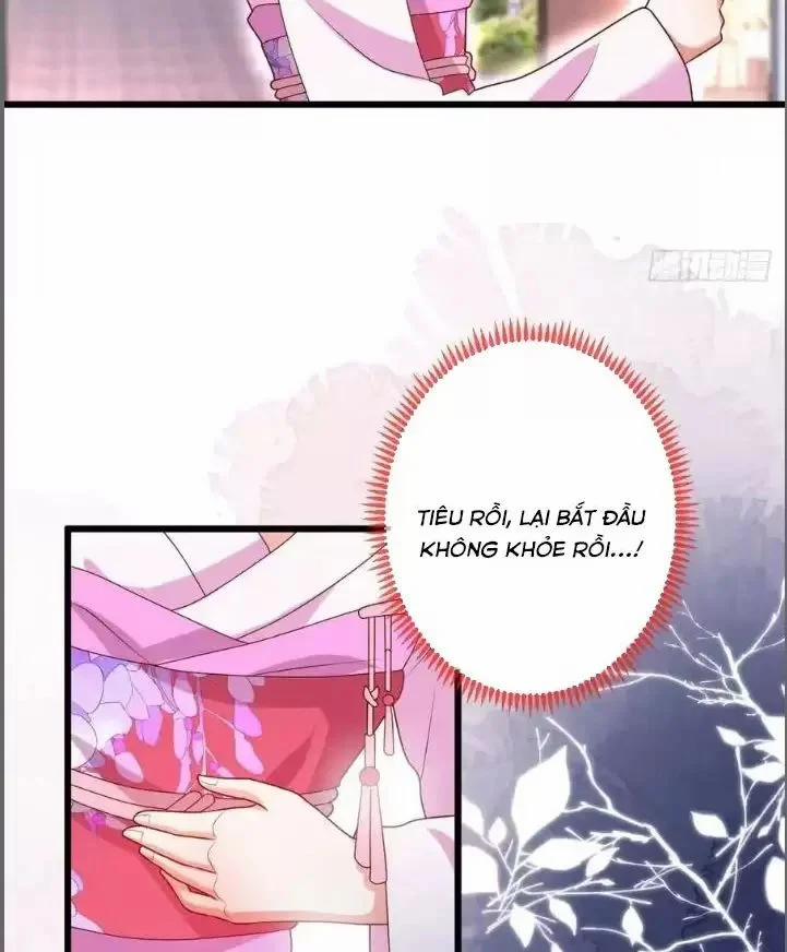 Hắc Đạo Đáng Yêu 216 trang 11