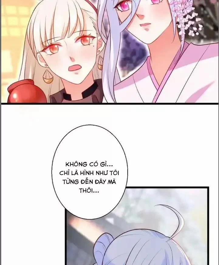 Hắc Đạo Đáng Yêu 216 trang 4