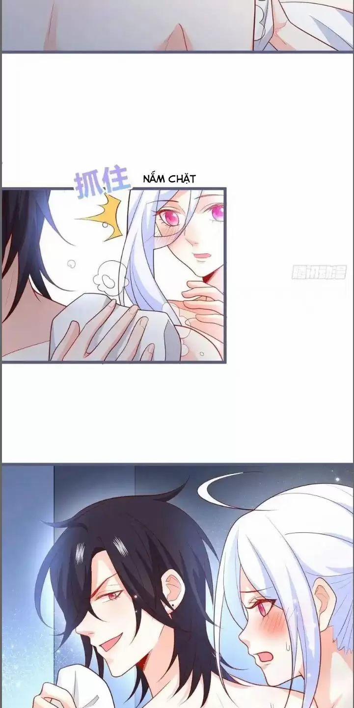 Hắc Đạo Đáng Yêu 232 trang 17