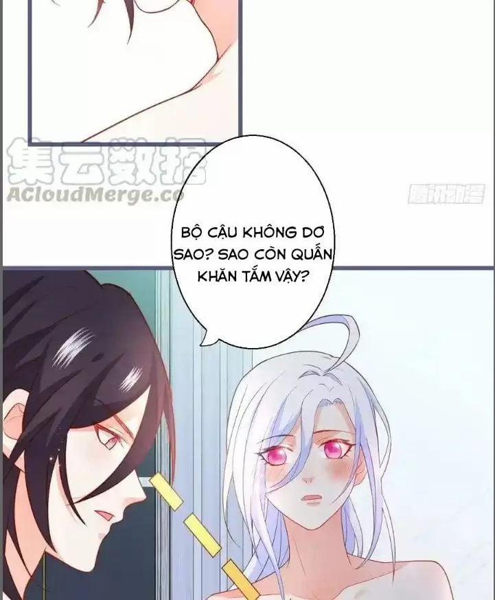 Hắc Đạo Đáng Yêu 232 trang 19