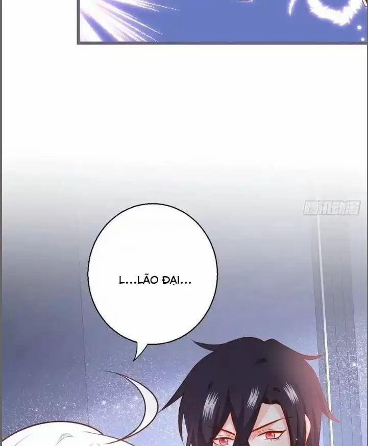 Hắc Đạo Đáng Yêu 232 trang 4