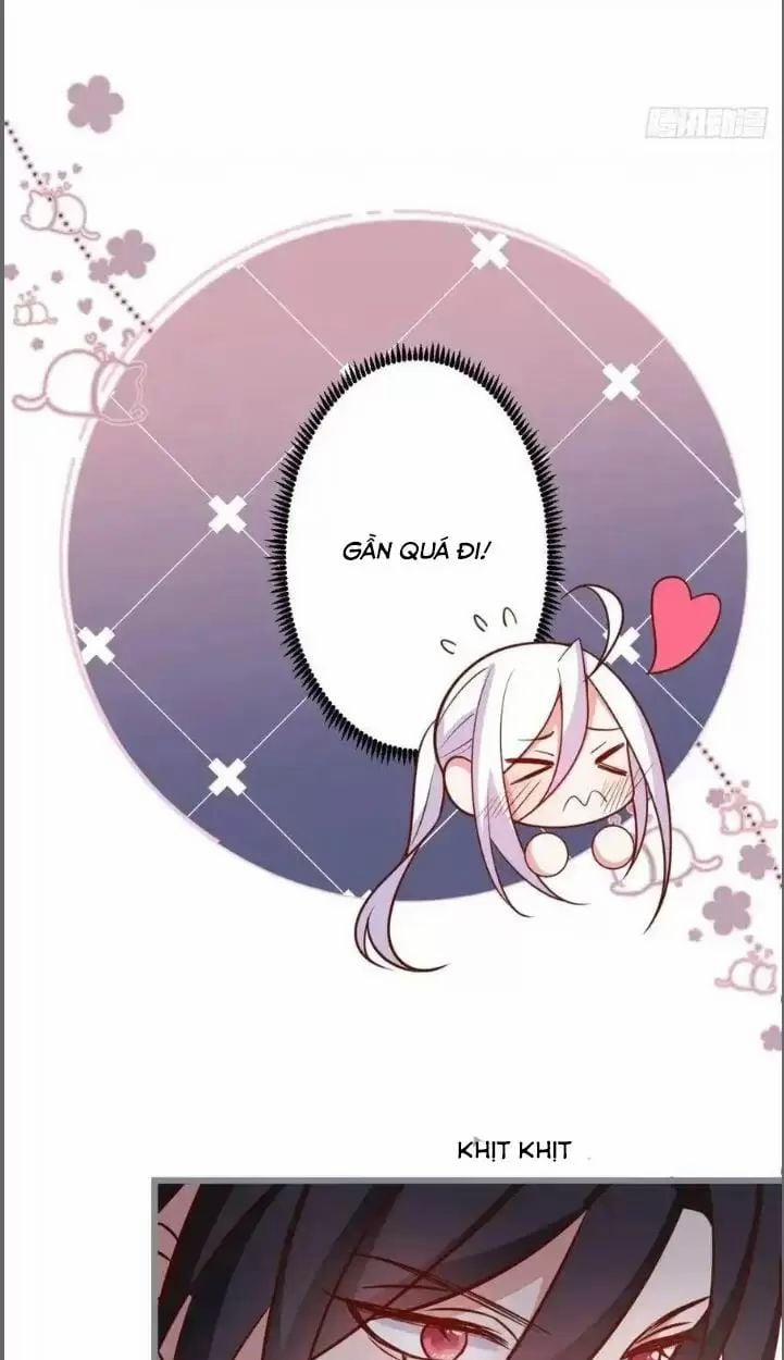 Hắc Đạo Đáng Yêu 234 trang 24