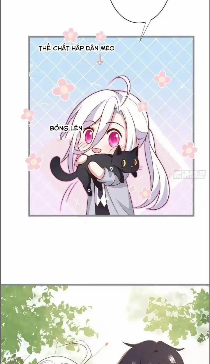 Hắc Đạo Đáng Yêu 234 trang 36