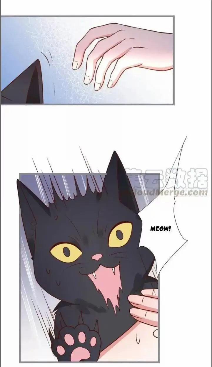 Hắc Đạo Đáng Yêu 234 trang 38