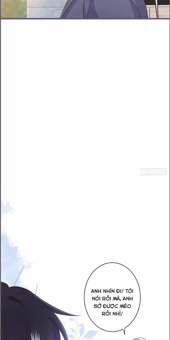 Hắc Đạo Đáng Yêu 235 trang 14