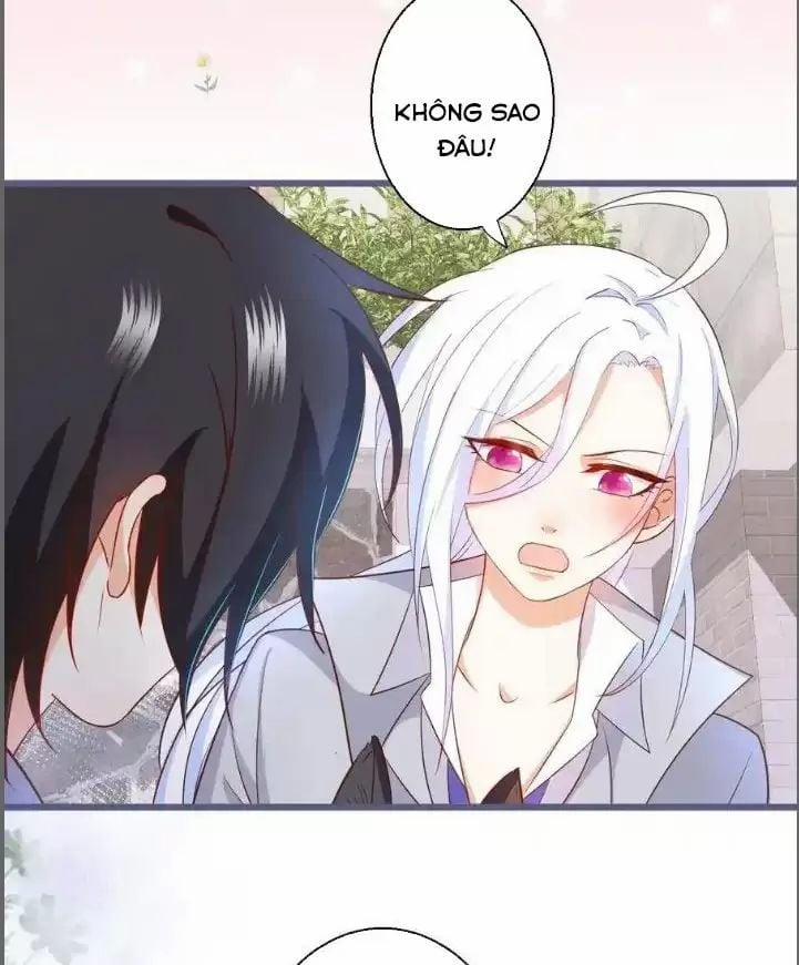 Hắc Đạo Đáng Yêu 235 trang 6