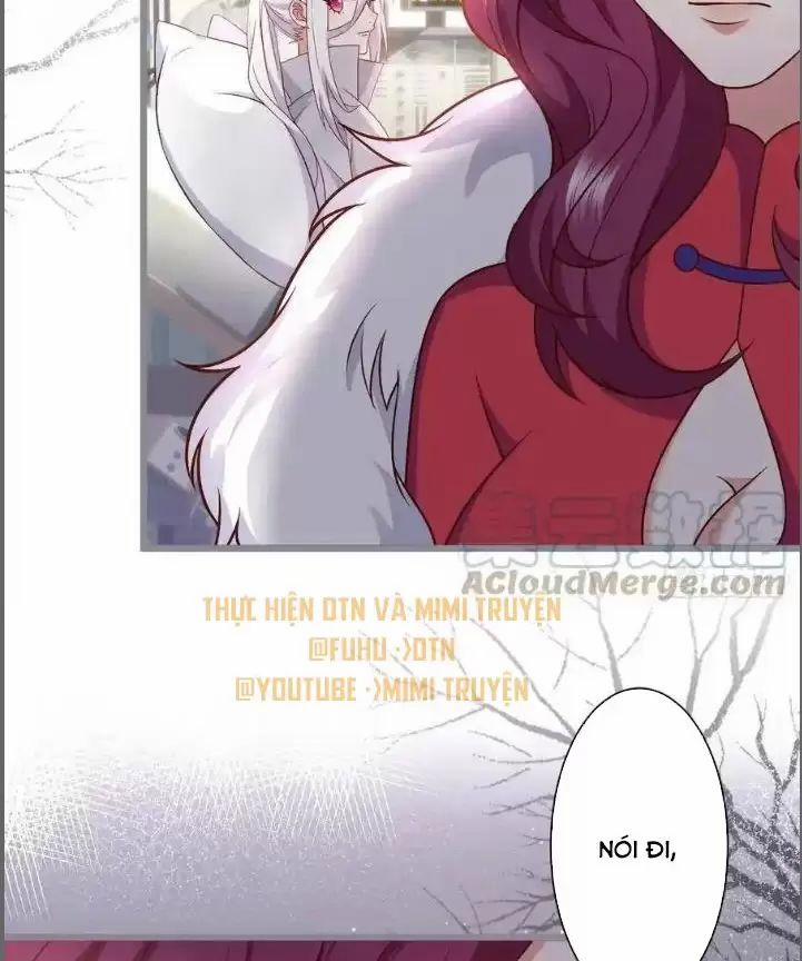 Hắc Đạo Đáng Yêu 236 trang 16