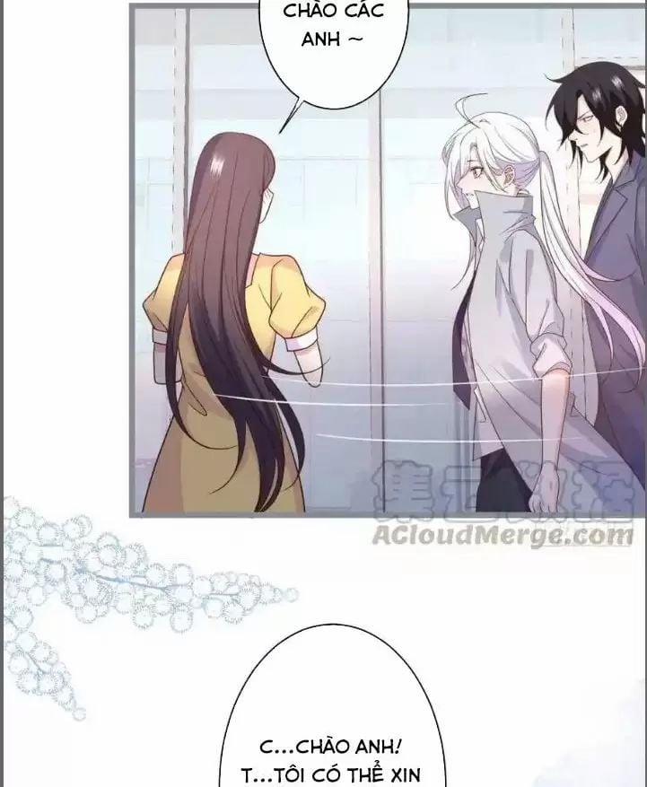 Hắc Đạo Đáng Yêu 238 trang 16