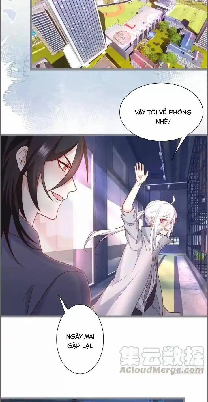 Hắc Đạo Đáng Yêu 238 trang 25