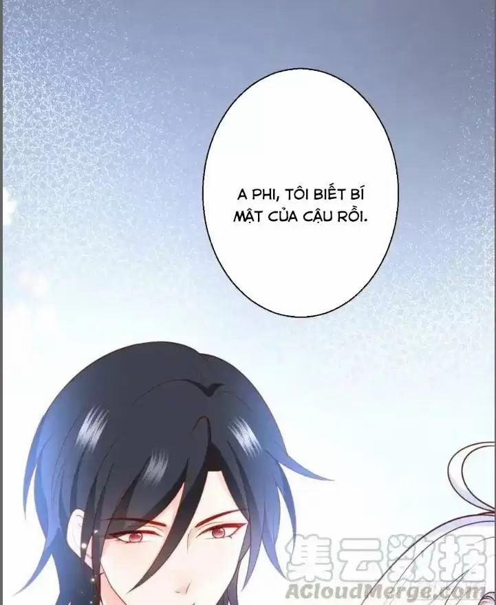 Hắc Đạo Đáng Yêu 239 trang 11