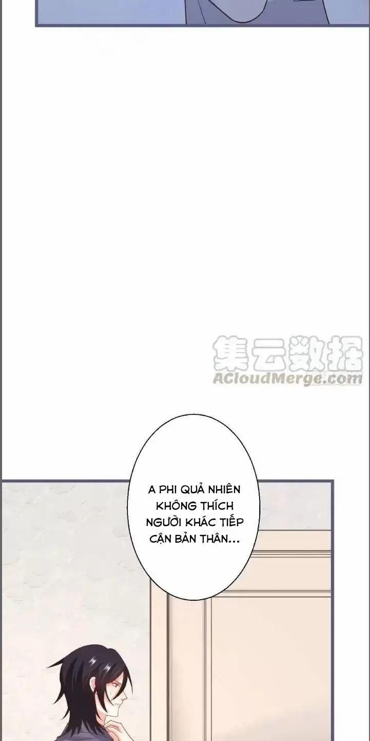 Hắc Đạo Đáng Yêu 239 trang 30