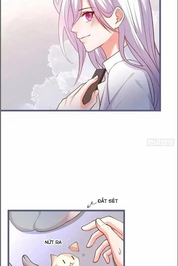 Hắc Đạo Đáng Yêu 241 trang 43