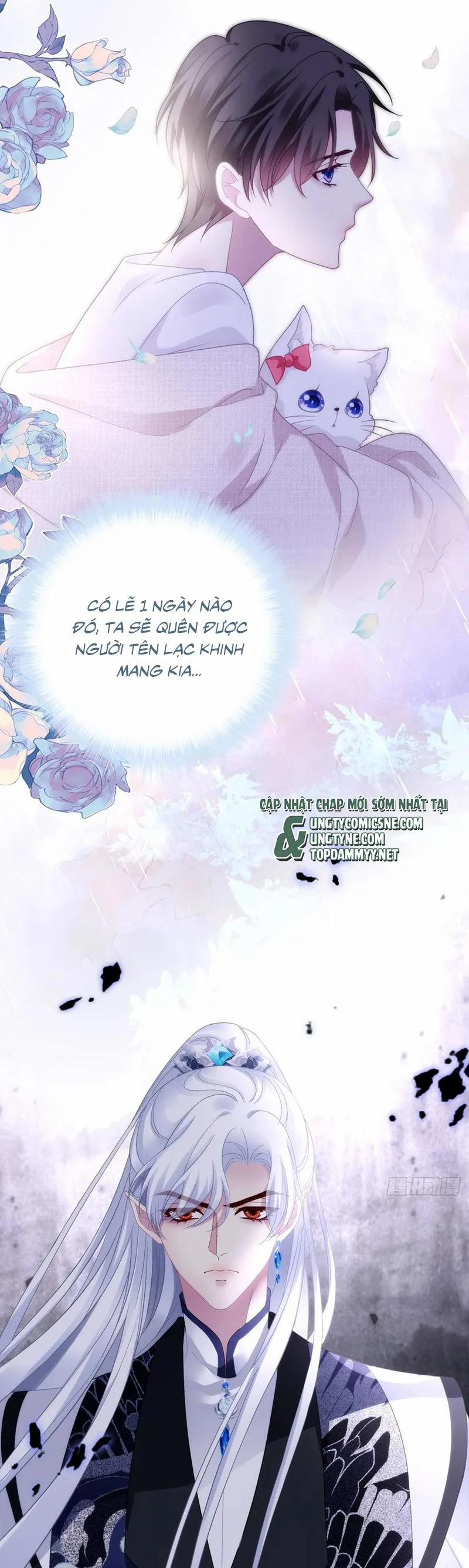 Hắc Hóa Đại Lão Thuần Dưỡng Chỉ Nam 167 trang 7