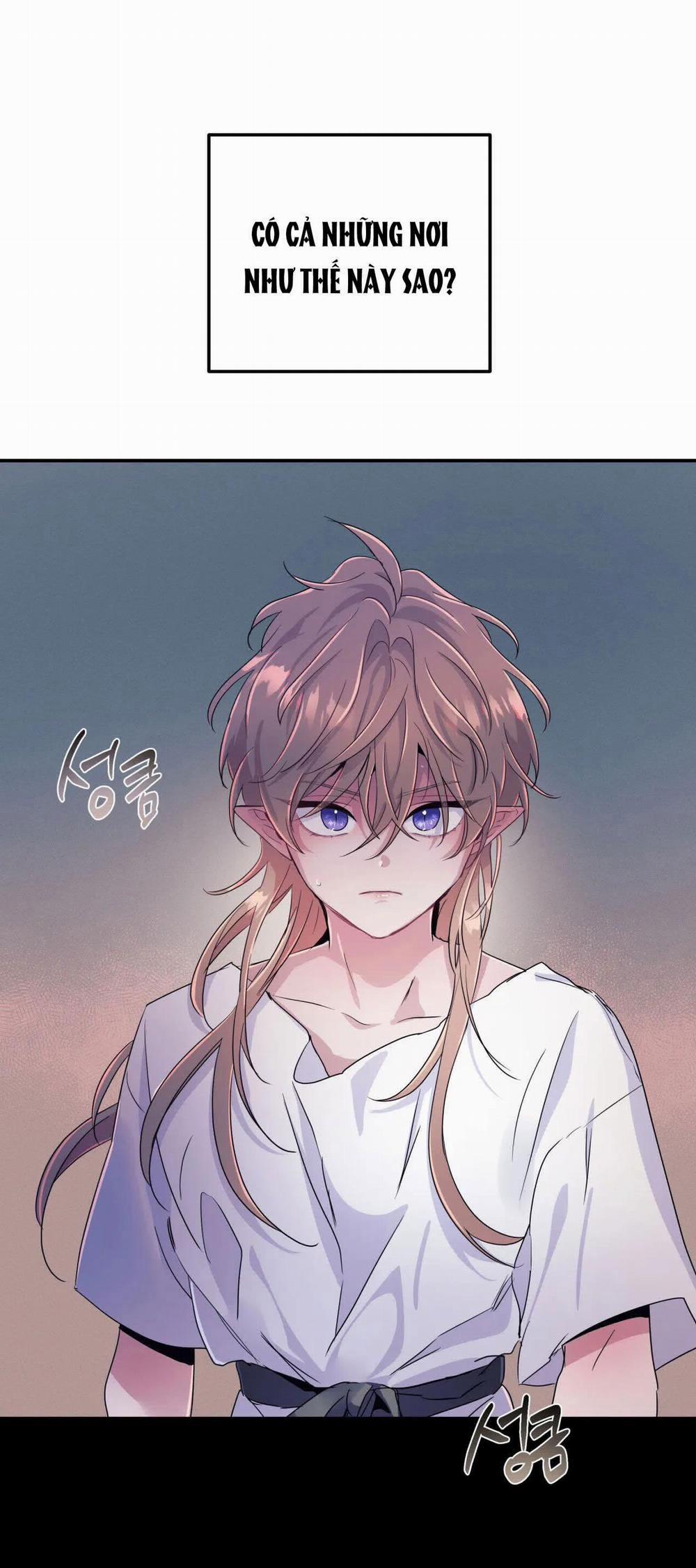 Hắc Vực 40.2 trang 22