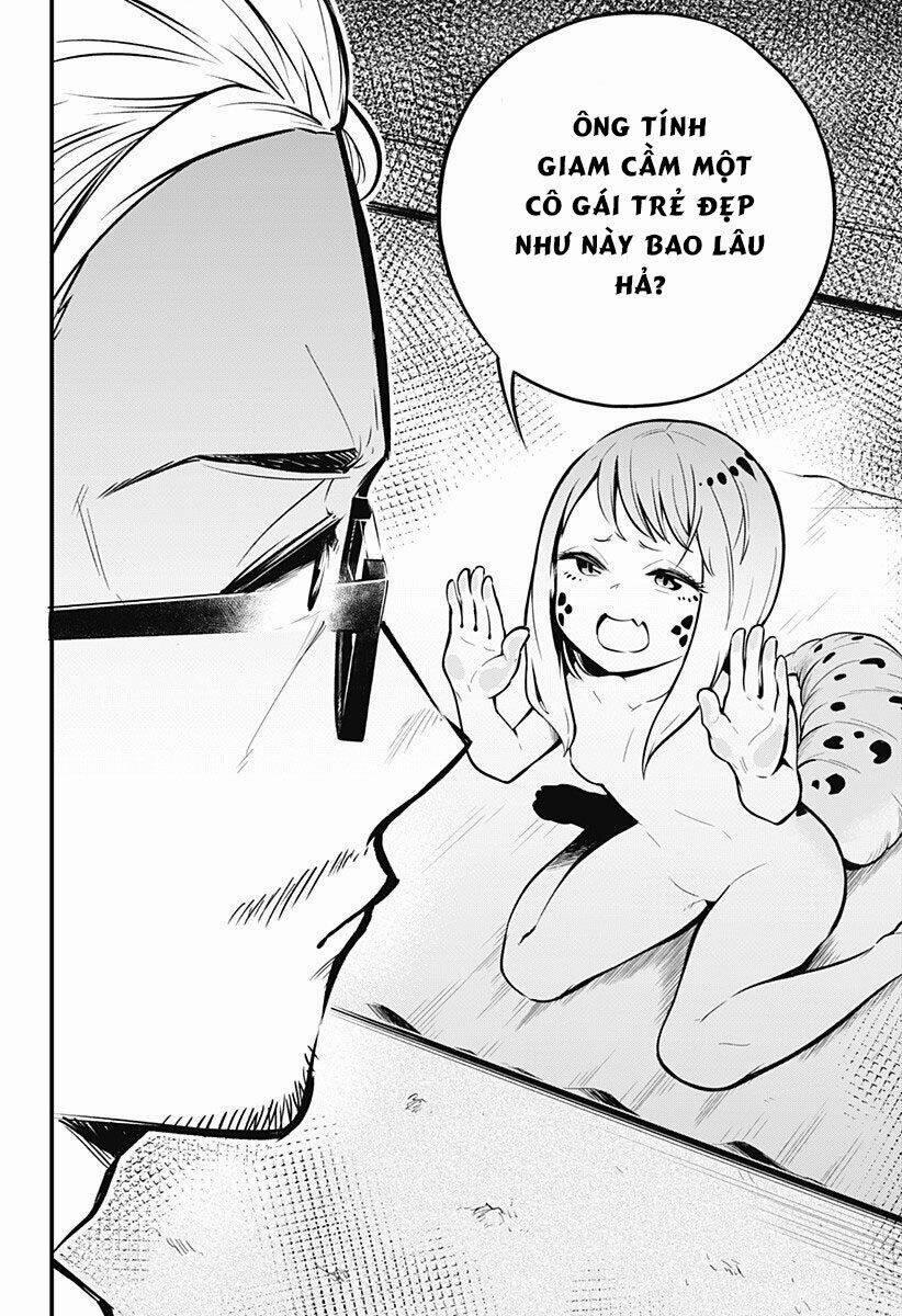 Hachuurui-Chan Wa Natsukanai 1 trang 5