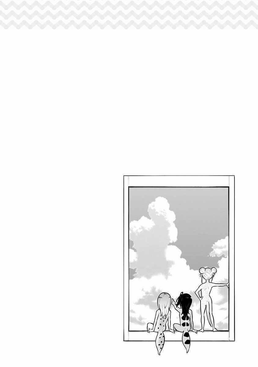 Hachuurui-Chan Wa Natsukanai 12 trang 8