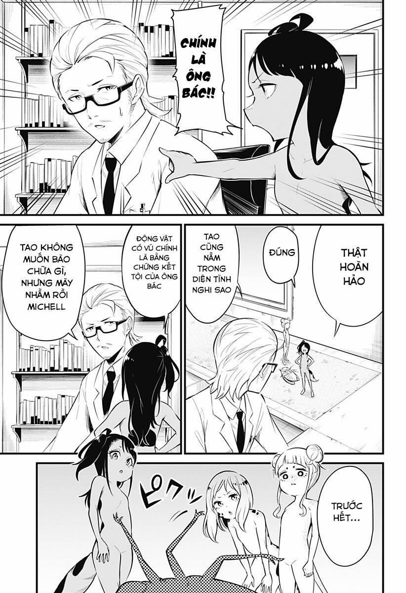Hachuurui-Chan Wa Natsukanai 16 trang 6