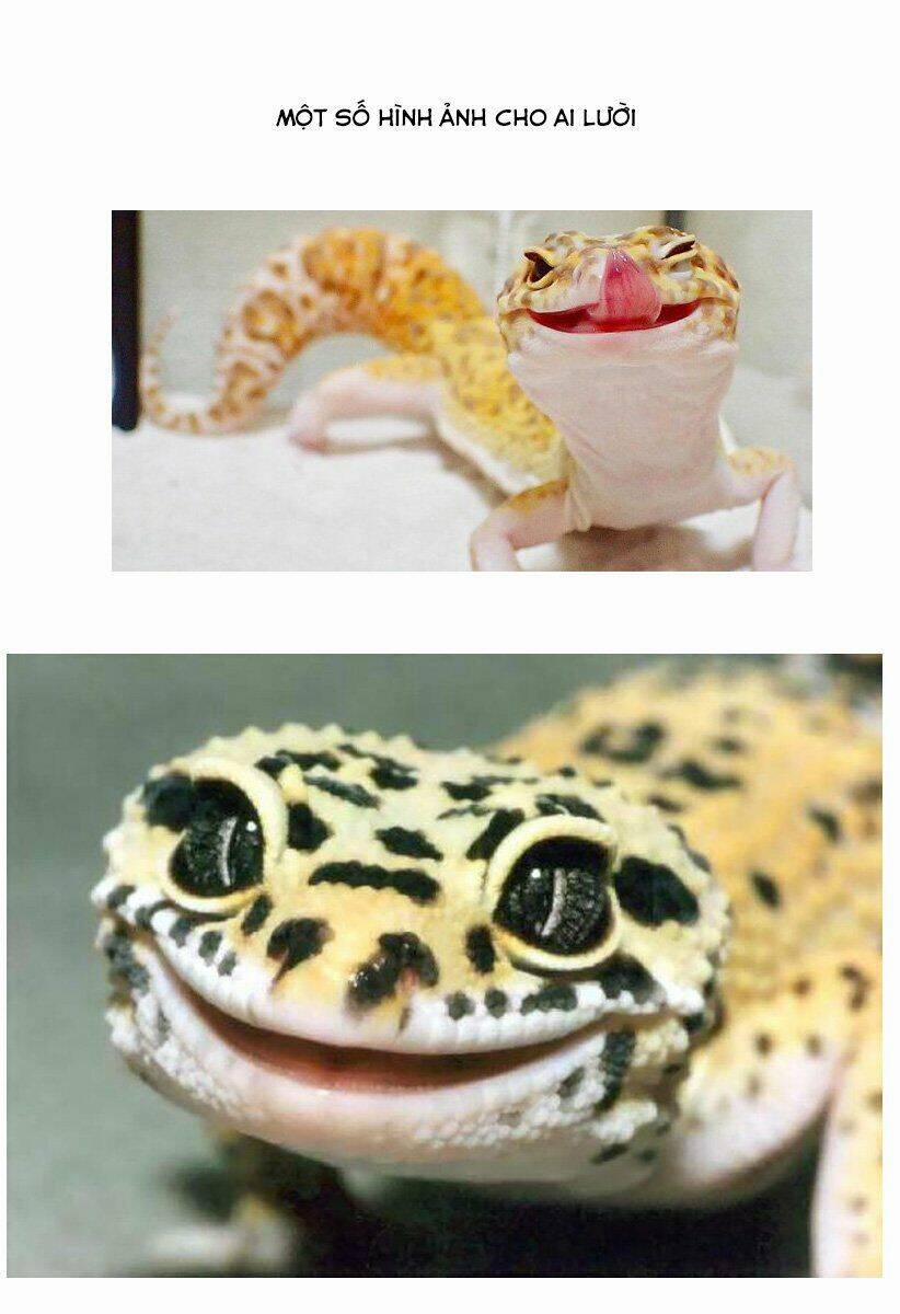 Hachuurui-Chan Wa Natsukanai 5 trang 8