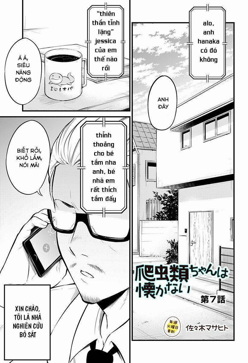 Hachuurui-Chan Wa Natsukanai 7 trang 0